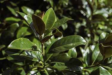 Similar image 22788756