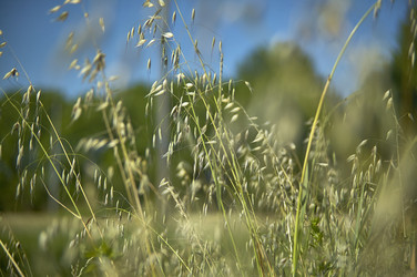 Similar image 22770823