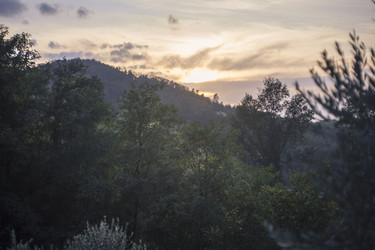 Similar image 22777366