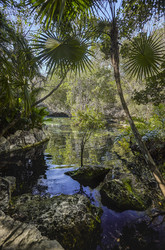 Similar image 22770903