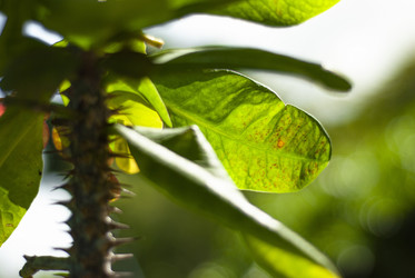 Similar image 22770908