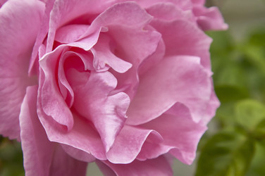 Similar image 22788492