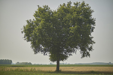 Similar image 22777372