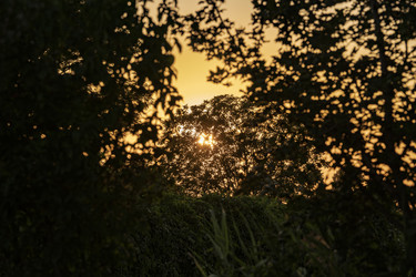 Similar image 22783898