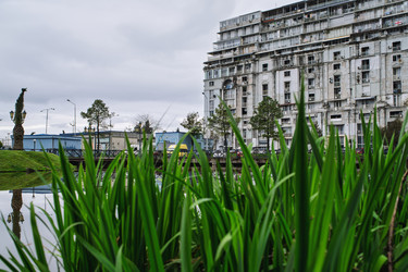 Городской пейзаж Батуми, зеленая трава на переднем плане, многоквартирный дом - Pippocarlot