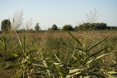 Similar image 22784908