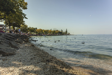 Similar image 22784867