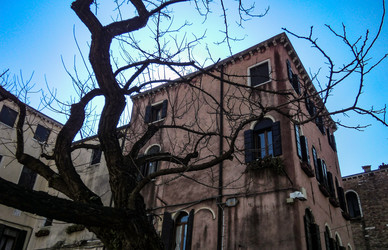 Улица Венеции № 12 - Pippocarlot