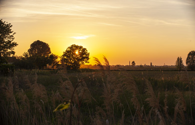 Similar image 22785112