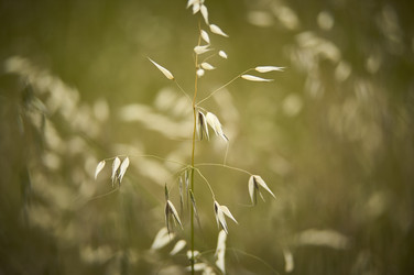 Similar image 22786900