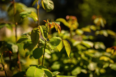 Similar image 22788413