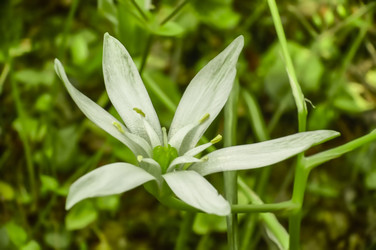 Similar image 22777343
