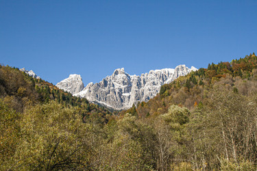 Similar image 22785172