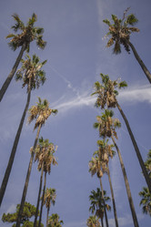 Similar image 22784924