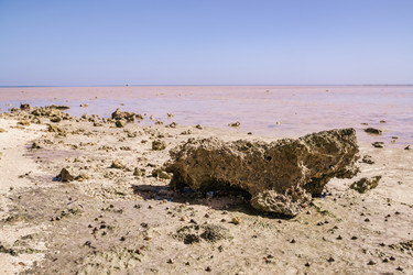 Берег Красного моря в Марса-Аламе с розовой водой и обнаженными скалами - Pippocarlot