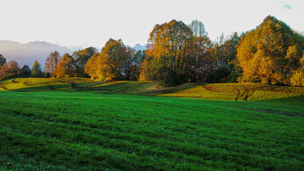 Similar image 22785281