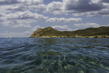 Кристально чистая вода, демонстрирующая морское дно в Кала-Са-Фигу, Сардиния, Италия - Pippocarlot