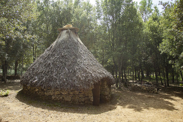 Similar image 22770933