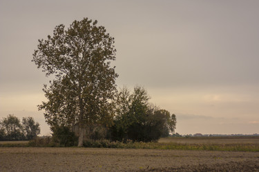 Similar image 22784977