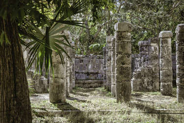 Similar image 22784888