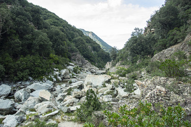 Similar image 22788120