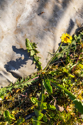 Similar image 22778048