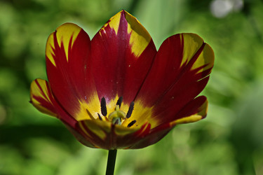 Similar image 22773250
