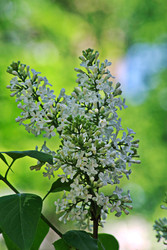 Similar image 22773252