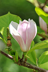 Similar image 22773253
