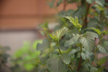 Similar image 22772232