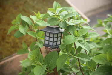 Similar image 22772179