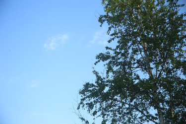 Similar image 22772193