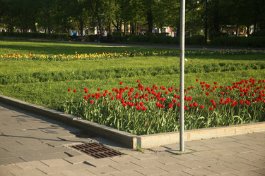 Similar image 22772195