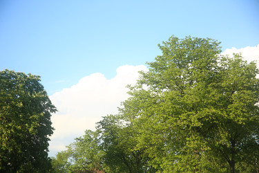 Similar image 22772203