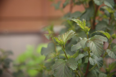 Similar image 22772208