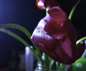 Similar image 22772456