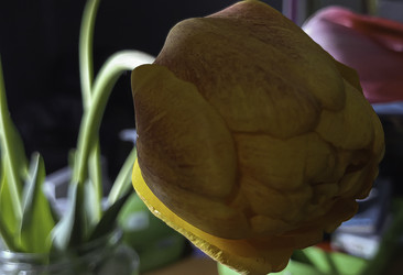 Similar image 22772457