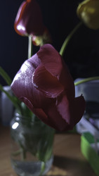 Similar image 22772458