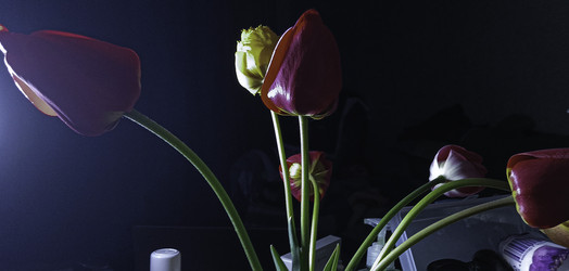 Similar image 22772459