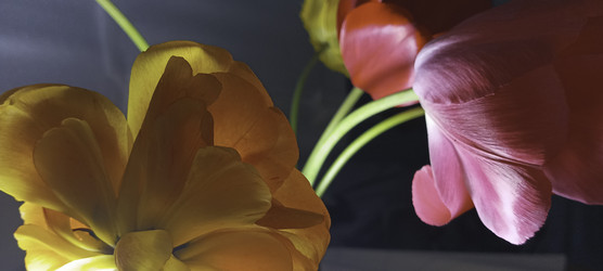 Similar image 22772460