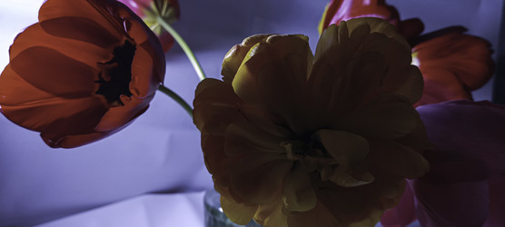 Similar image 22772462