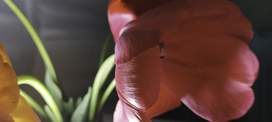 Similar image 22772383