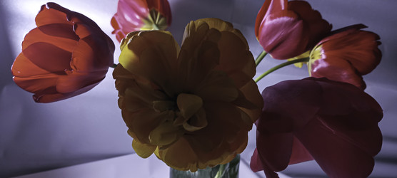 Similar image 22772384