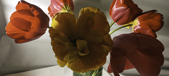 Similar image 22772387