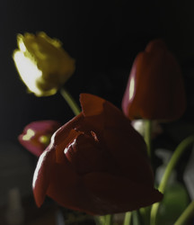 Similar image 22772388
