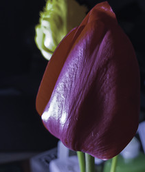 Similar image 22772389