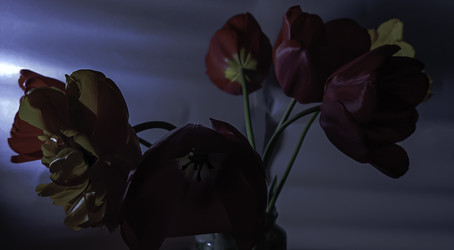 Similar image 22772391