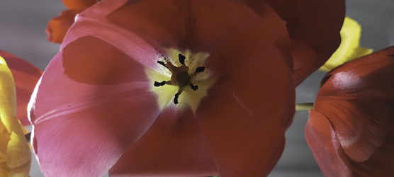 Similar image 22772392