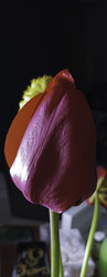 Similar image 22772397