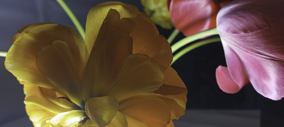 Similar image 22772400